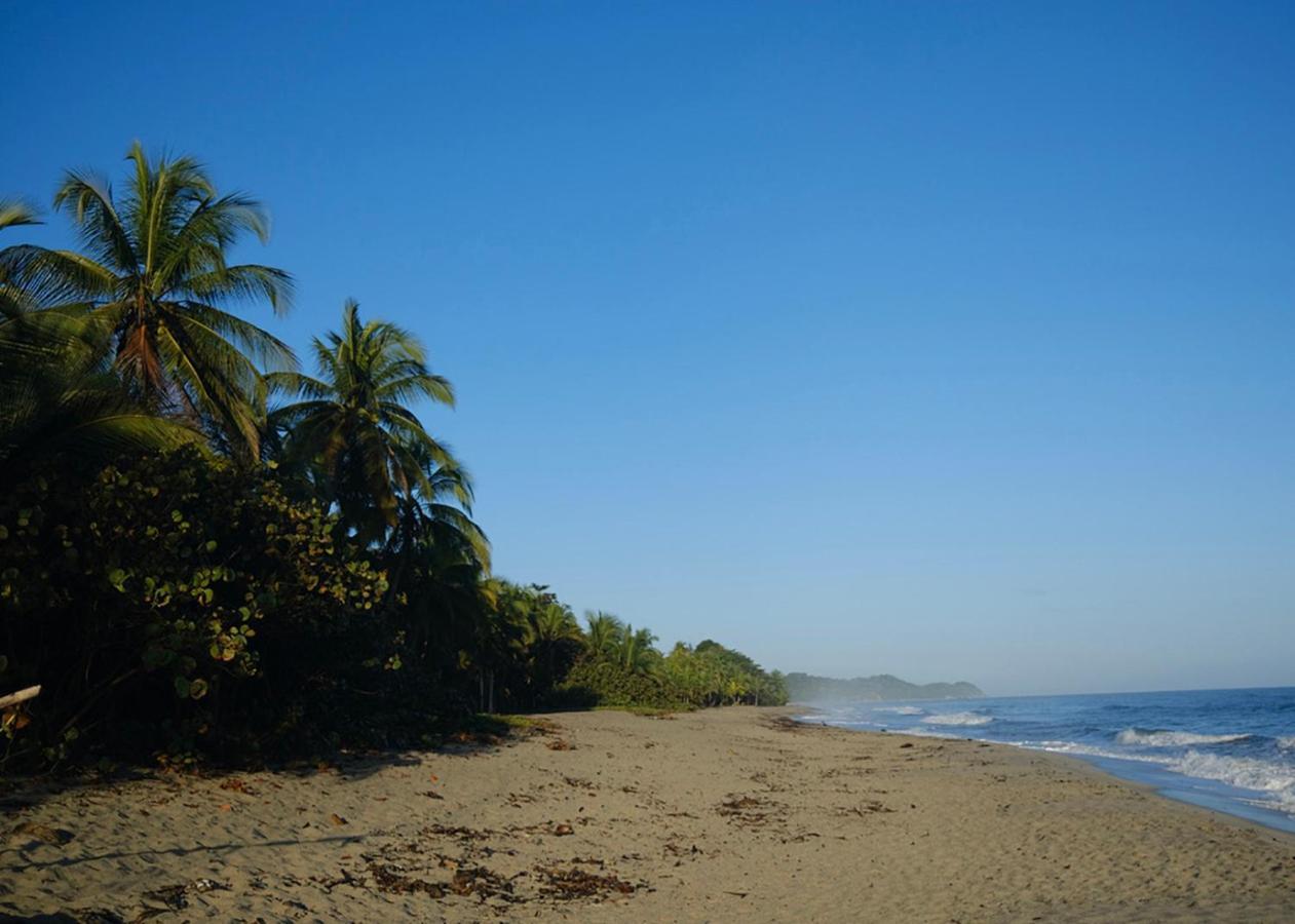 Palmario Hostal Guachaca 外观 照片