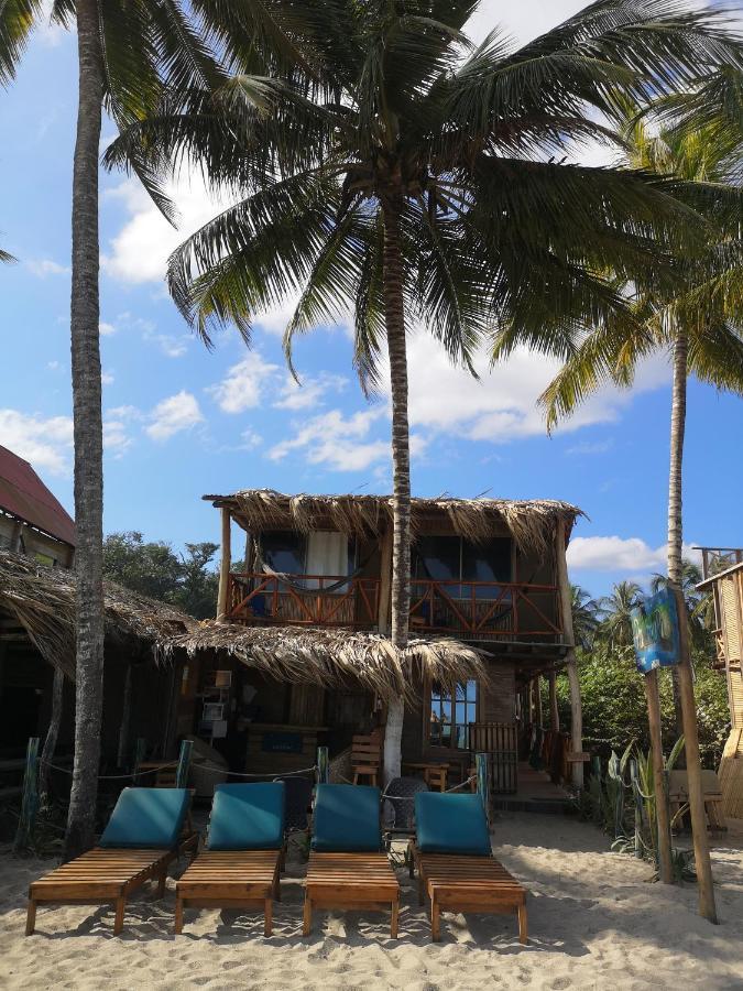 Palmario Hostal Guachaca 外观 照片