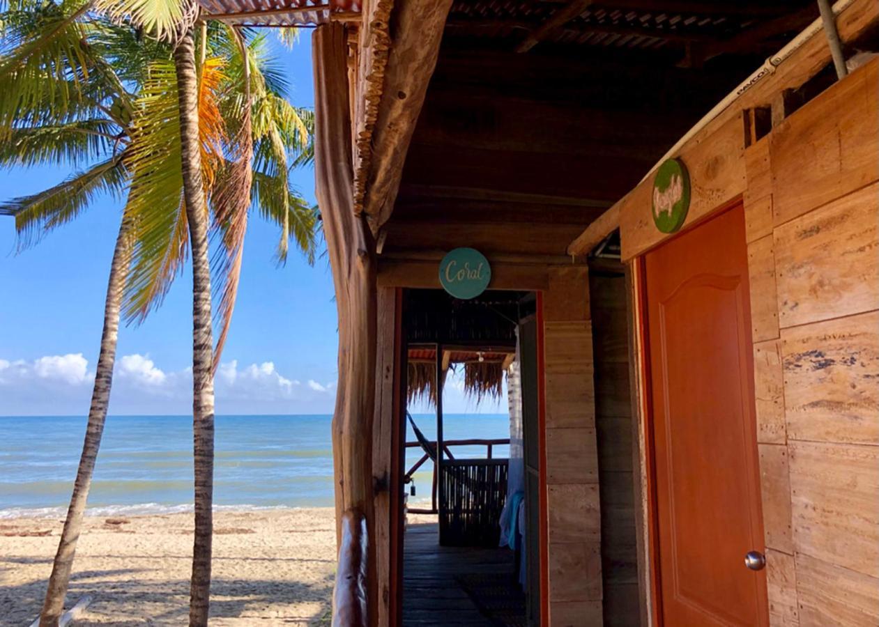 Palmario Hostal Guachaca 外观 照片