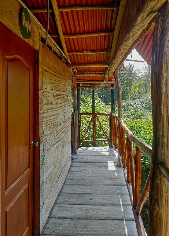 Palmario Hostal Guachaca 外观 照片