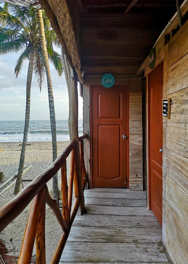 Palmario Hostal Guachaca 外观 照片