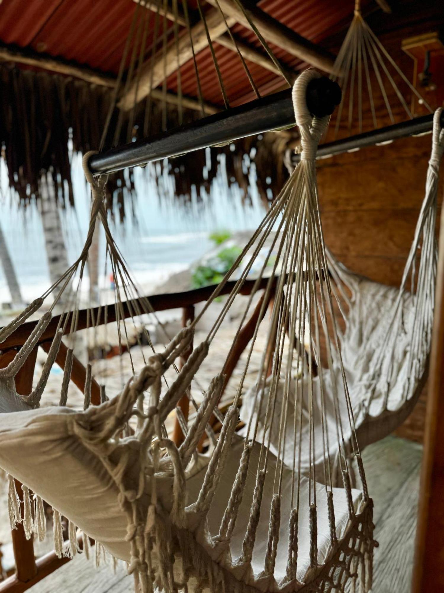 Palmario Hostal Guachaca 外观 照片