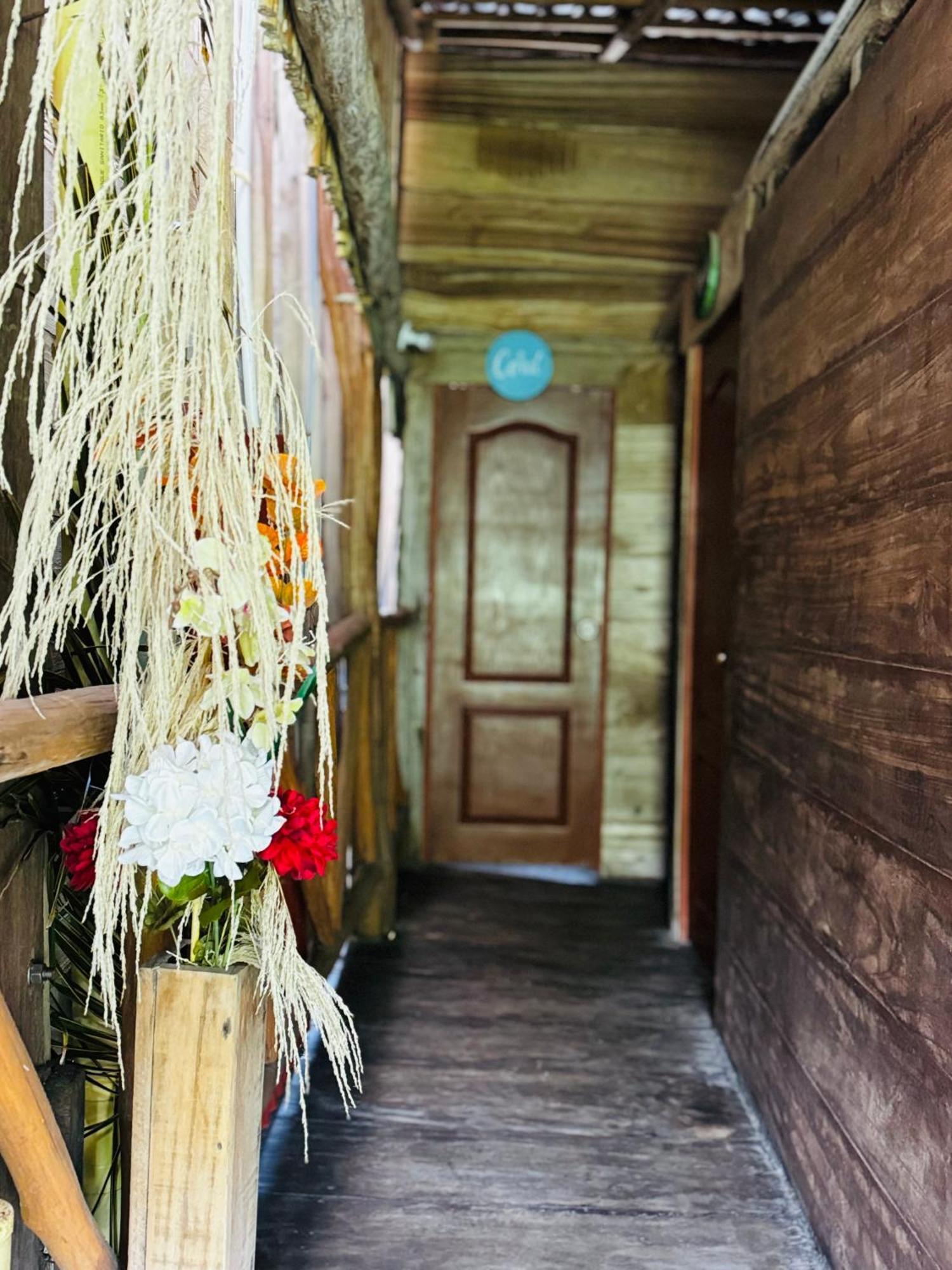Palmario Hostal Guachaca 外观 照片